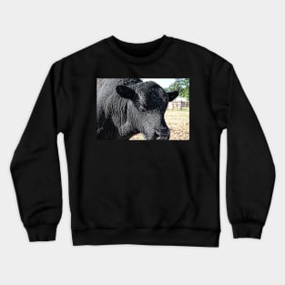 Bull Crappy Crewneck Sweatshirt